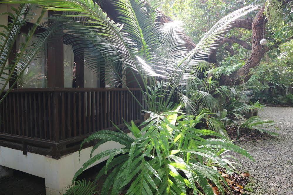 Blue Bayou Bungalows Balabag  Luaran gambar